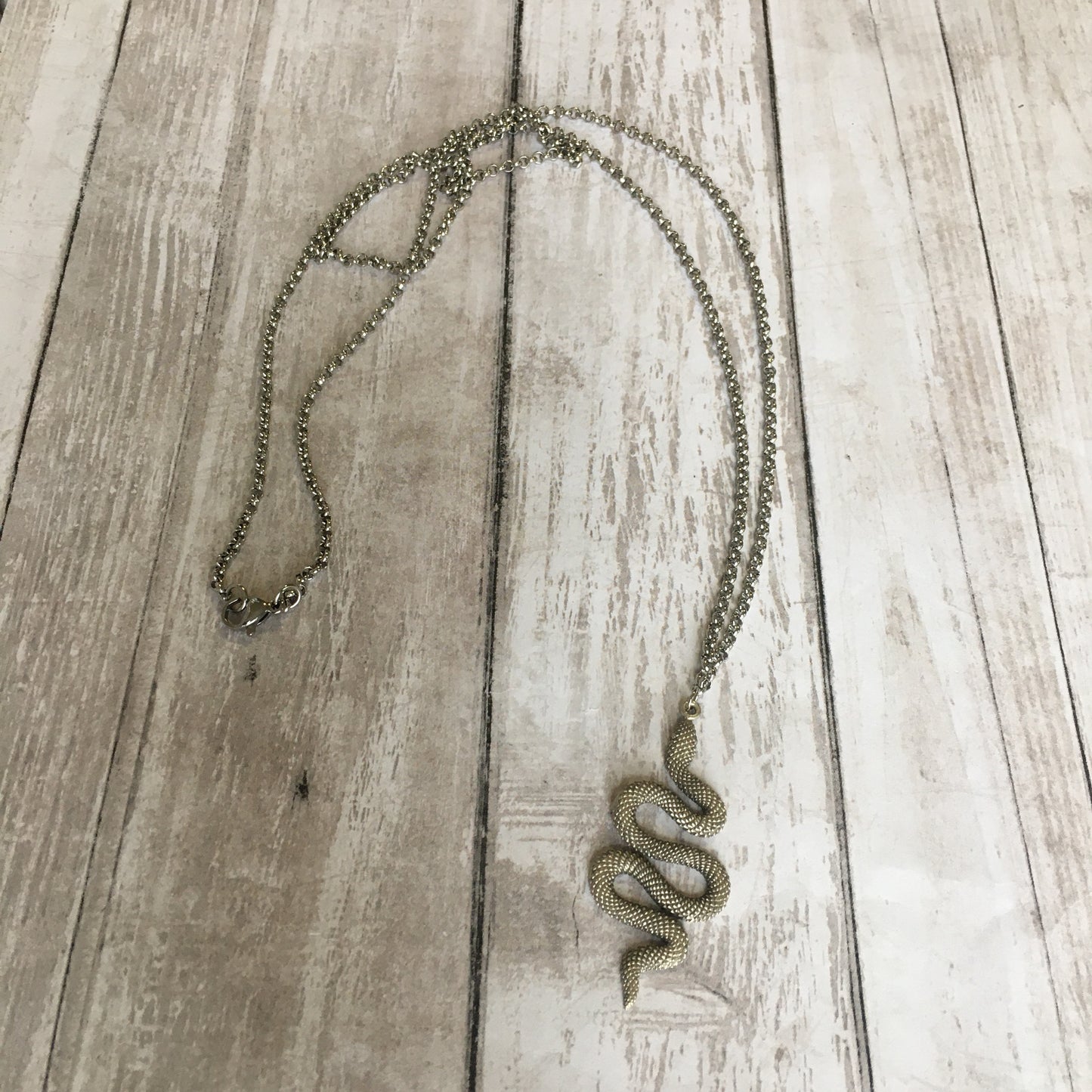 The Snake Charmer Necklace in Silver